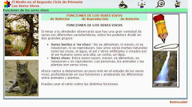 http://www.ceiploreto.es/sugerencias/juntadeandalucia/Costa21/seres/contenidos/funcio0.html