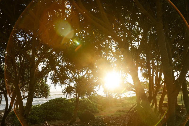 kapaa days-5