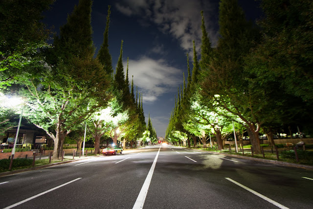 LED lights could cut the electricity demand by 1/3 in America.