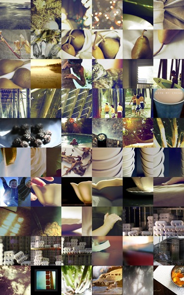 2008 year in review light and dark
