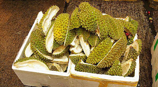 Image result for gambar kulit durian