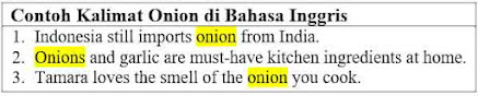 23 Contoh Kalimat Onion di Bahasa Inggris dan Pengertiannya