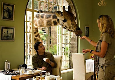 Giraffe Manor