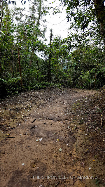 taiwan hike