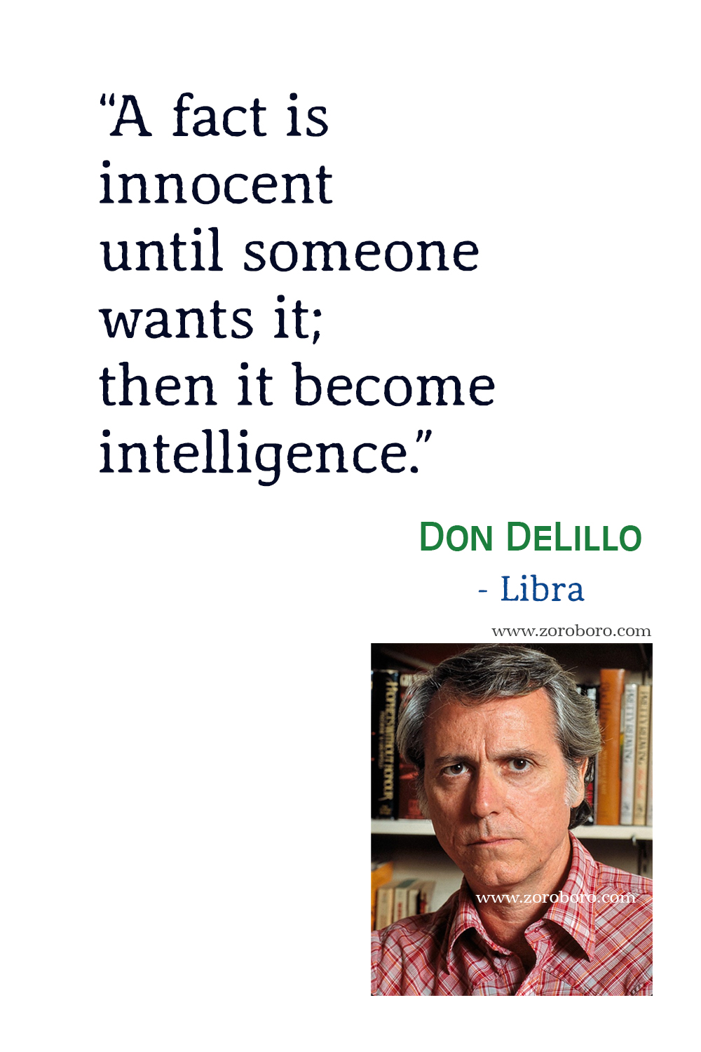 Don DeLillo Quotes, Don DeLillo White Noise Quotes, Don DeLillo Books, Don DeLillo Underworld Quotes, Don DeLillo Novel Quotes.