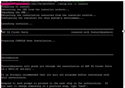 SAP IQ NLS-The Cold Storage Solution for SAP BW/4HANA