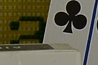 Nikon D7000 Sample Image