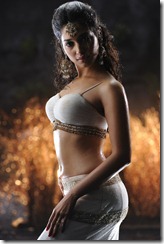 badrinath-telugu-movie-tamanna-hot-sexy-stills