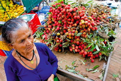 Lists of most common fruits of Nepal