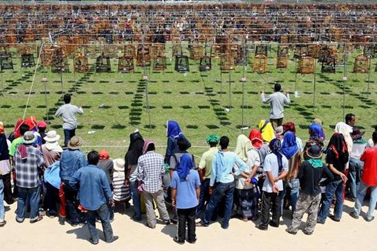 Amazing Bird Singing Contest in Yala 2010