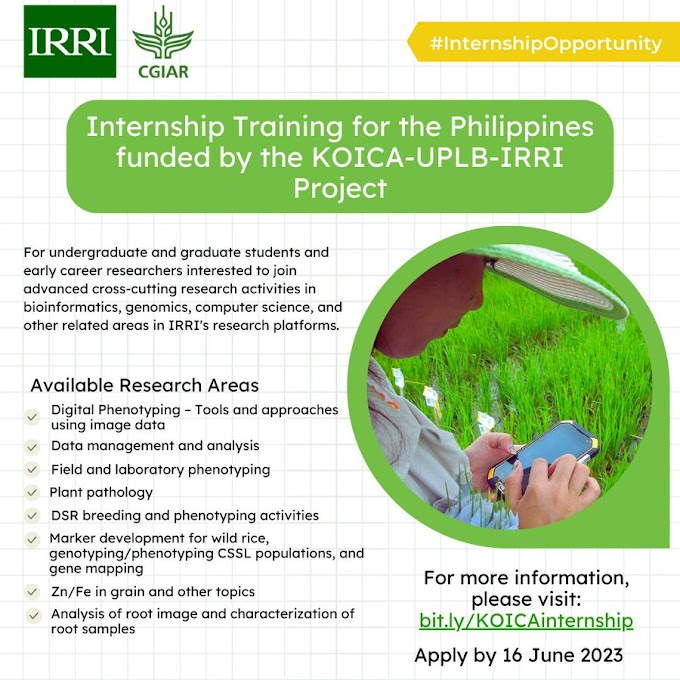 Internship Training for the Philippines funded by the KOICA-UPLB-IRRI Project