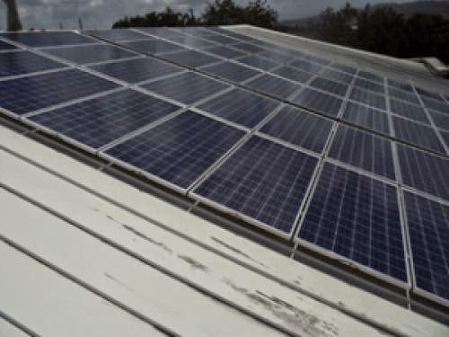 Govt Takes More Steps To Go Green