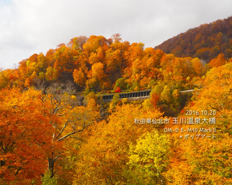 玉川温泉大橋周辺の紅葉