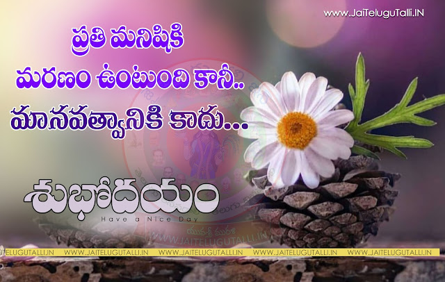 Telugu-good-morning-quotes-wishes-for-Whatsapp-Life-Facebook-Images-Inspirational-Thoughts-Sayings-greetings-wallpapers-pictures-images