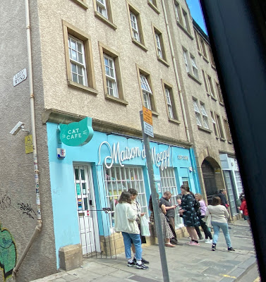 line at cat cafe in Edinburgh, Scotland