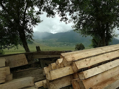  View of Phobjikha Valley