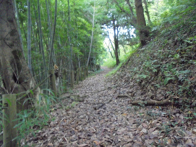 古代の丘コース（ハイキングコース）