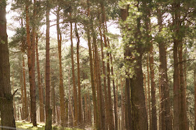 Walking in the Peak District near Ladybower reservoir