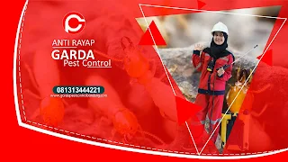 Solusi Pest Control Bandung