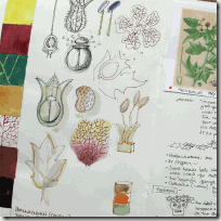 Untitled-7