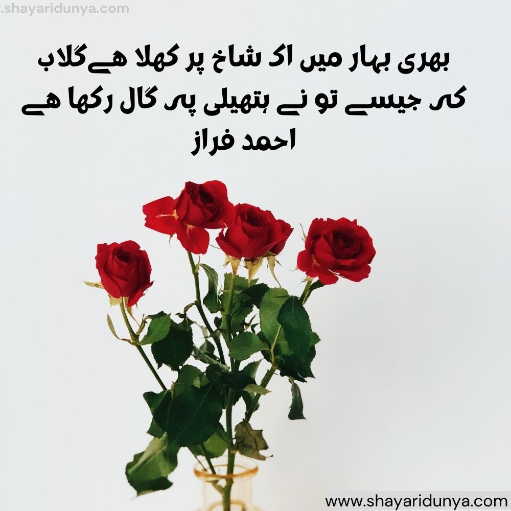 Gulab shayari urdu | Gulab shayari 2 lines urdu | Gulab ka phool shayari | urdu phool quotes in urdu | gulab shayari