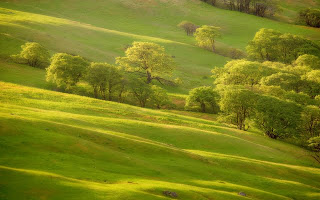 Green-Hills-Wallpapers