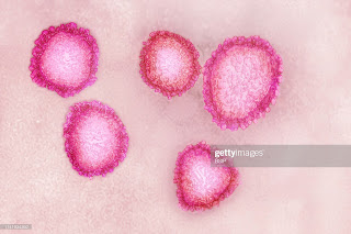 MICROSCOPIC CORONAVIRUS