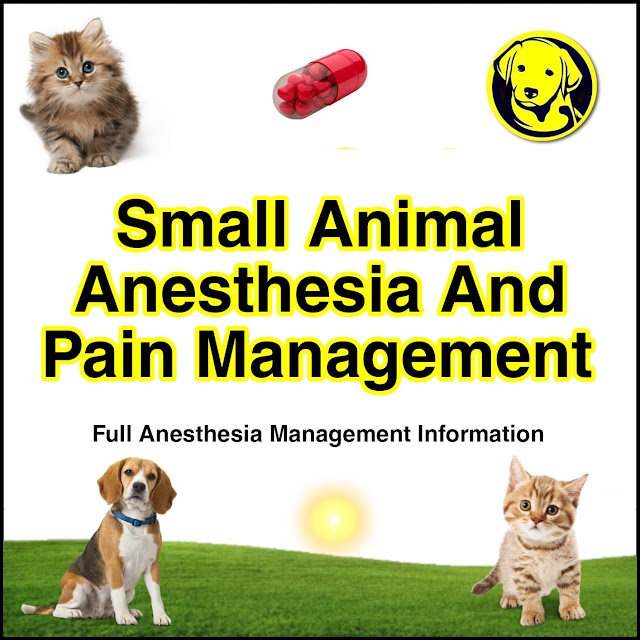 Free Download Textbook Of Small Animal Anesthesia And Pain Management Full Pdf