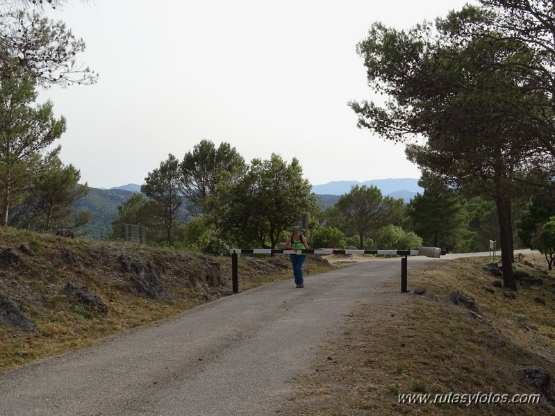 Quejigales-Tajo del Canalizo-Enamorados-Cerro Alto