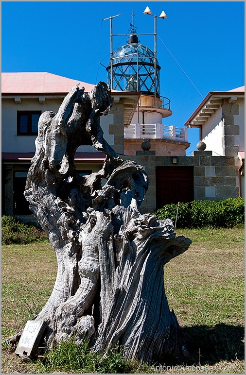 Faro 1