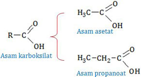 Struktur asam karboksilat, asam asetat, asam propanoat
