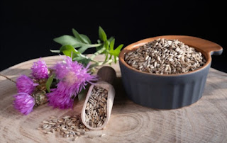 Milk thistle is a herbal remedy with natural liver-protective and anti-inflammatory effects.