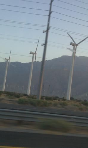 IMAG0332.jpg