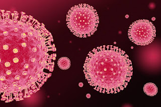 कोरोनावायरस सिर्फ बीमारी नहीं महामारी है 