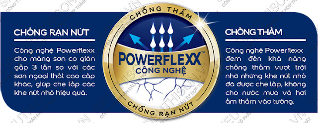 Dulux Weathershield Powerflexx - Chống rạn nứt chống thấm