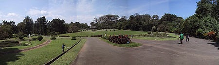 Kebun Raya Bogor, Cocok Untuk Wisata Pendidikan