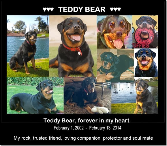 Teddy Bear