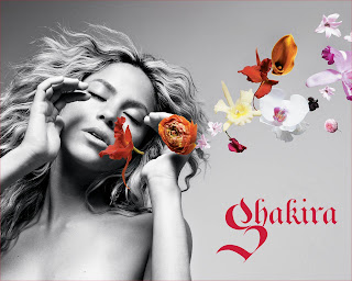 Shakira Beautyful Sexy Wallpaper