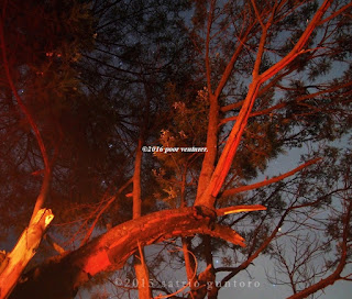Pendakian Gunung Sumbing via Bowongso, Gunung sumbing jalur bowongso, jalur bowongso gunung sumbing, rute ke basecamp bowongso, desa bowongso, gunung sindoro, jalur bowongso wonosobo, jalur gunung sumbing.