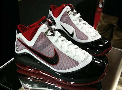 lebron james shoe