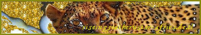 Riseingsouthernstar-Africa Link Banner