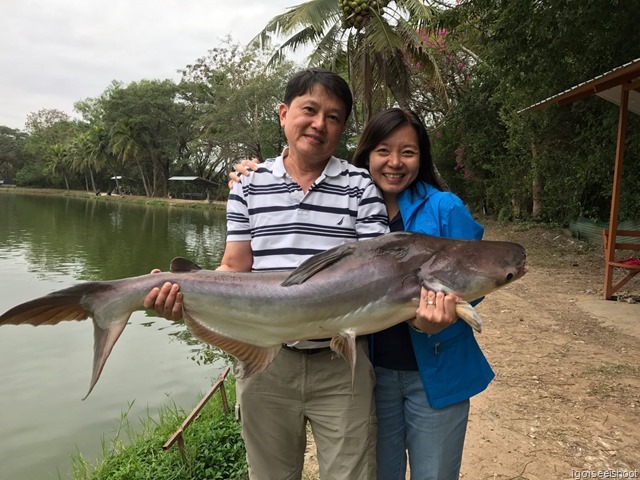 Mekong Catfish caught at Bo Sang Fishing Park, Chiang Mai