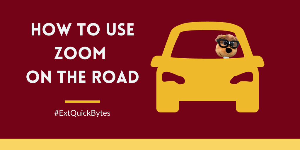 How to use Zoom on the road