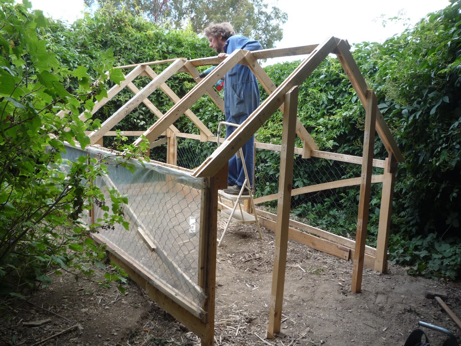 wood greenhouse kits