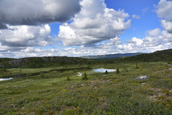 buvasstølan vardefjell stolpejakt