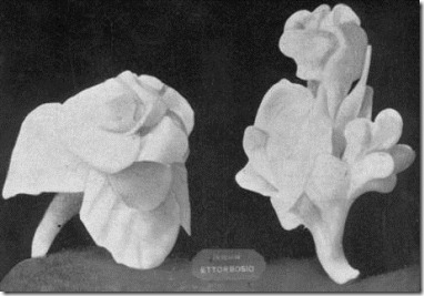 clip_image025