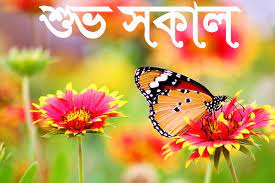 Good Morning Romantic Pic - Good Morning Picture Download - Good Morning Romantic Pic - Good Morning Pic hd - shuvo sokal pic - NeotericIT.com
