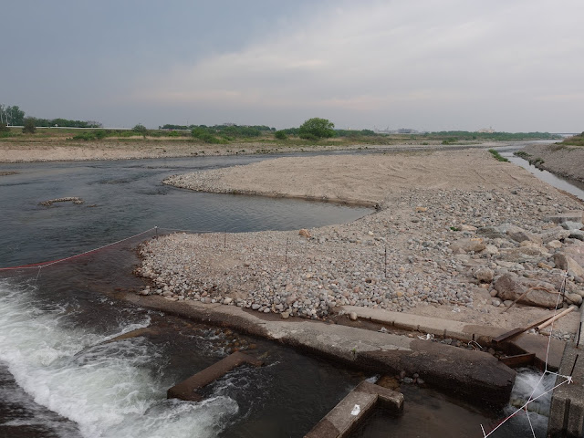 鳥取県米子市吉岡　日野川　河川敷