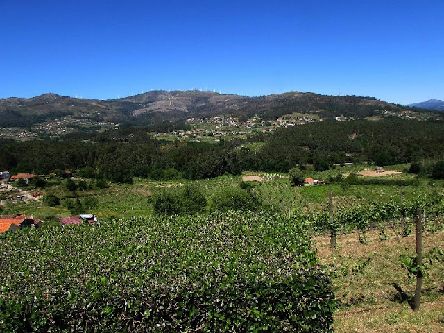 Vista da Quinta de Soalheiro em Melgaço