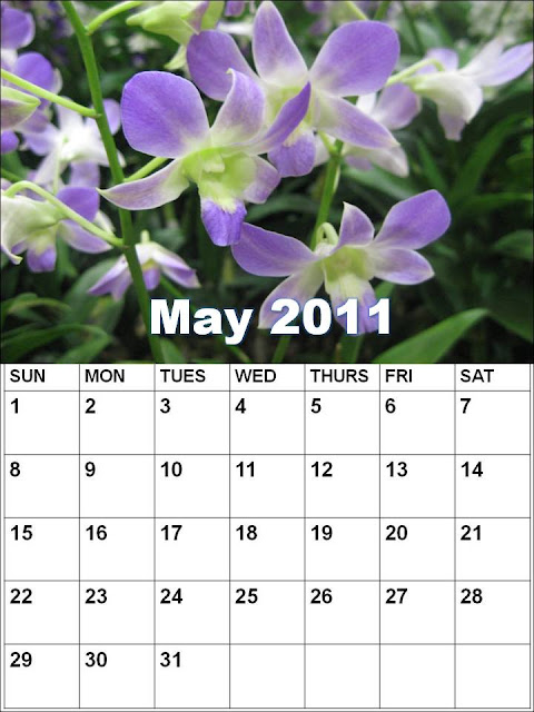 blank calendar 2011 may. 2011 blank calendar template.